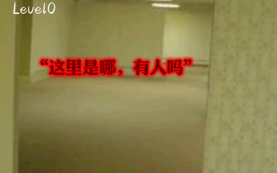 盘点后室各个层级的绝望 (level010)哔哩哔哩bilibili