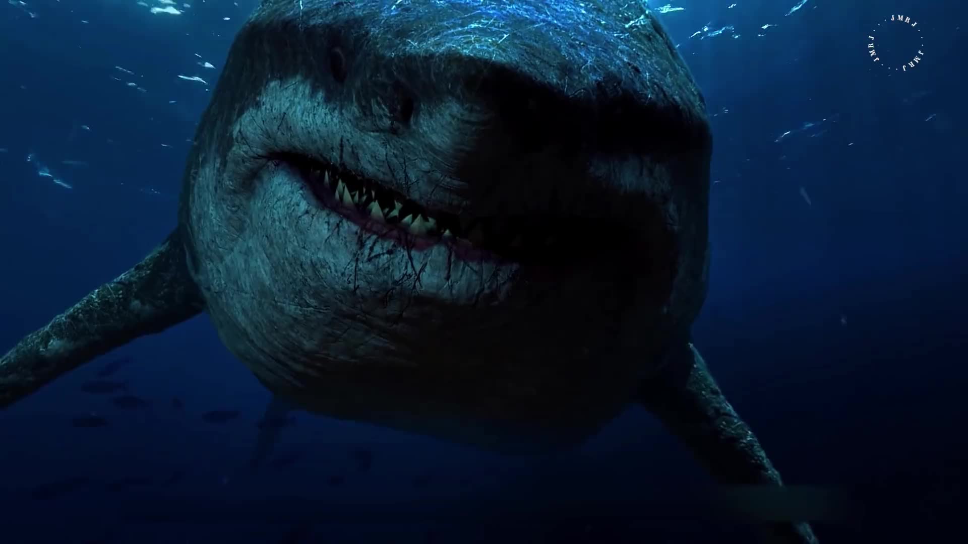 巨齿鲨的克星图片