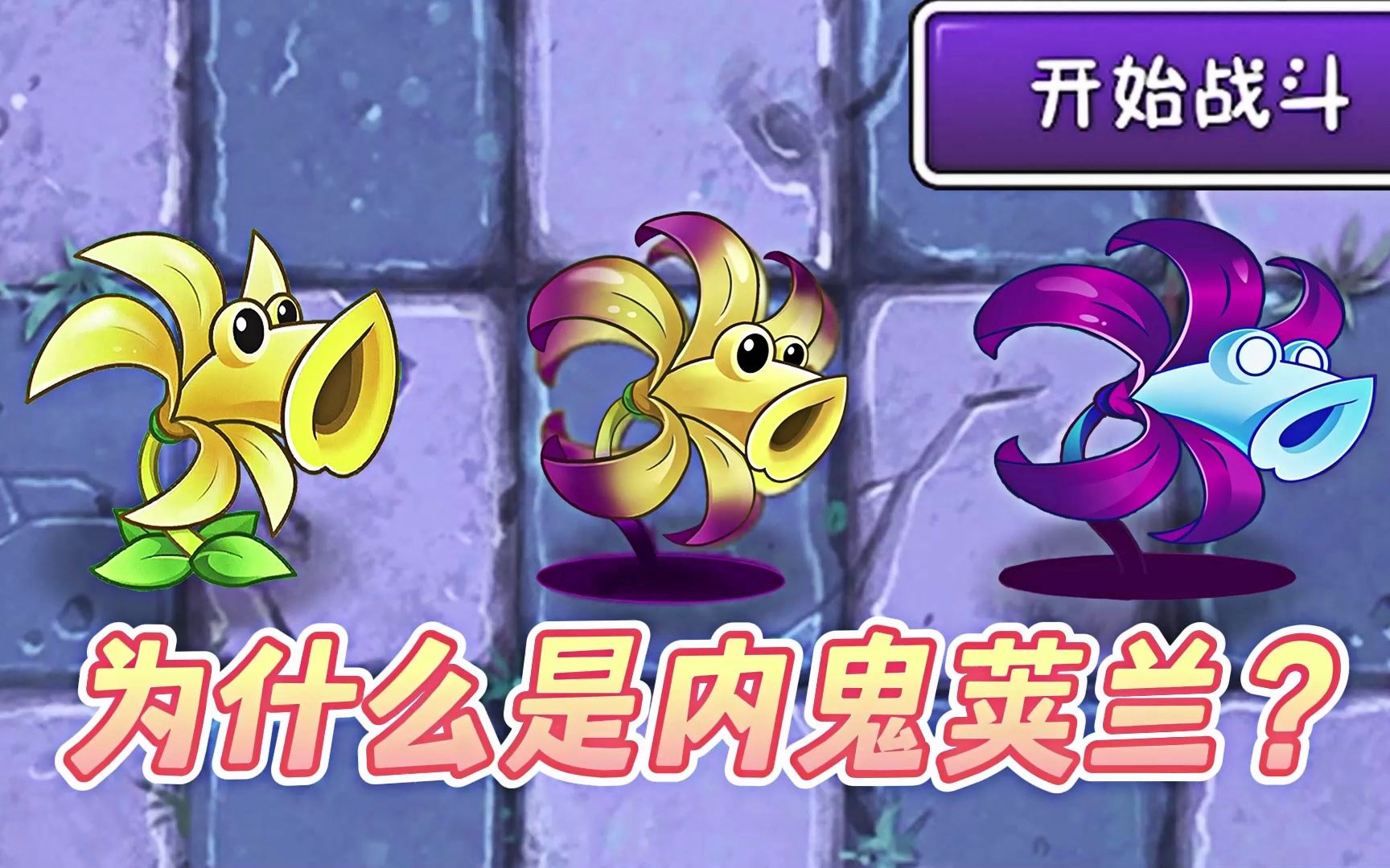 关于暗影荚兰,为什么被称为内鬼荚兰?