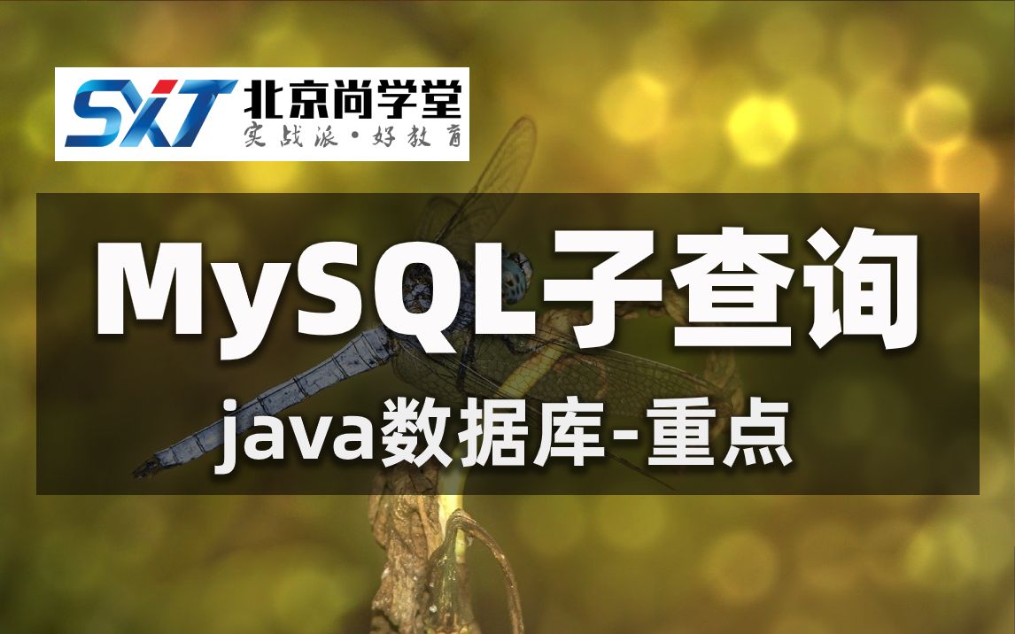 MySQL基础入门MySQL教程MySQL数据库子查询实战MySQL数据库子查询必备课程MySQL不相关子查询MySQL单行子查询哔哩哔哩bilibili