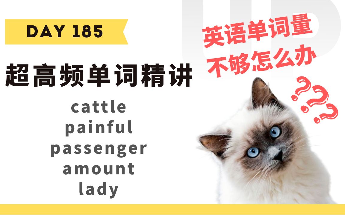 【学英语】十分钟掌握必背单词Day 185:cattle, painful, passenger, amount, lady哔哩哔哩bilibili