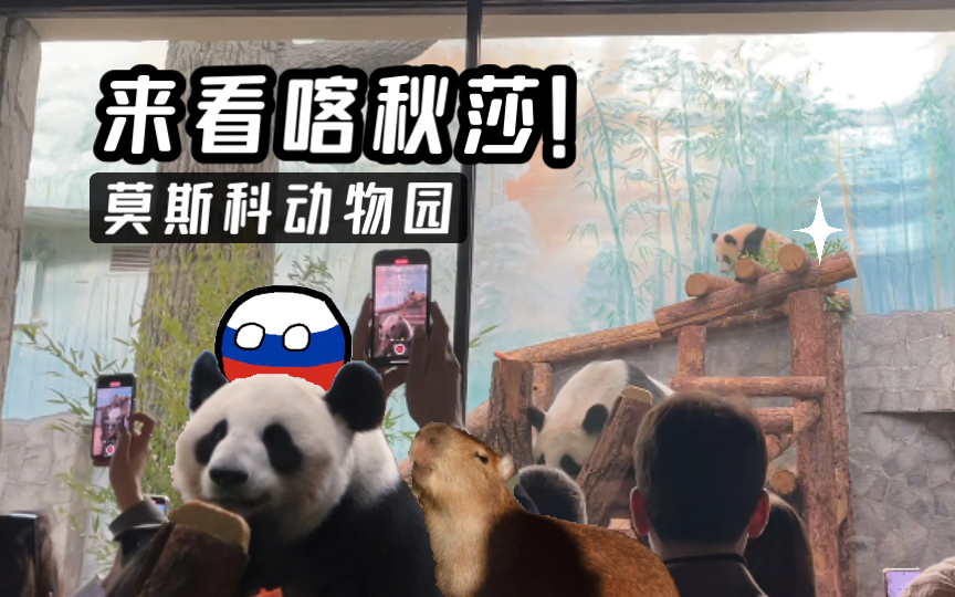 【沉浸式浅逛】去莫斯科动物园看喀秋莎!