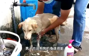 Tải video: 长大后的狗狗多吃了一碗饭，惨遭主人卖掉，真的太可怜了