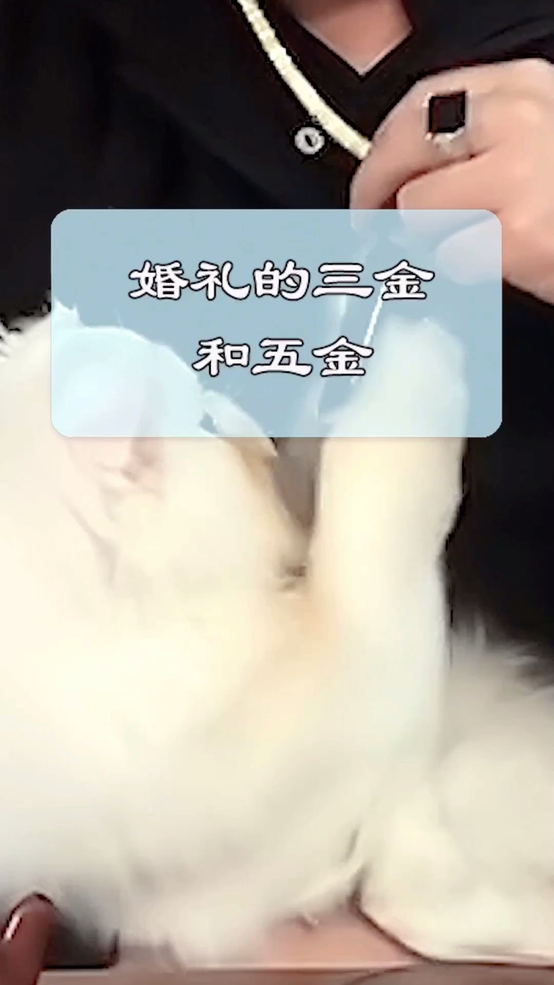 婚礼的三金和五金#婚礼#哔哩哔哩bilibili