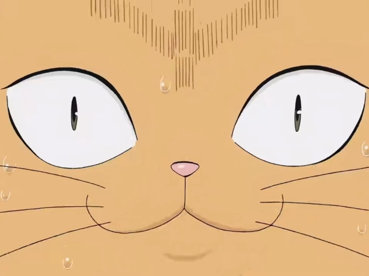 齐木楠雄的灾难 猫咪篇2 我谢谢你哦