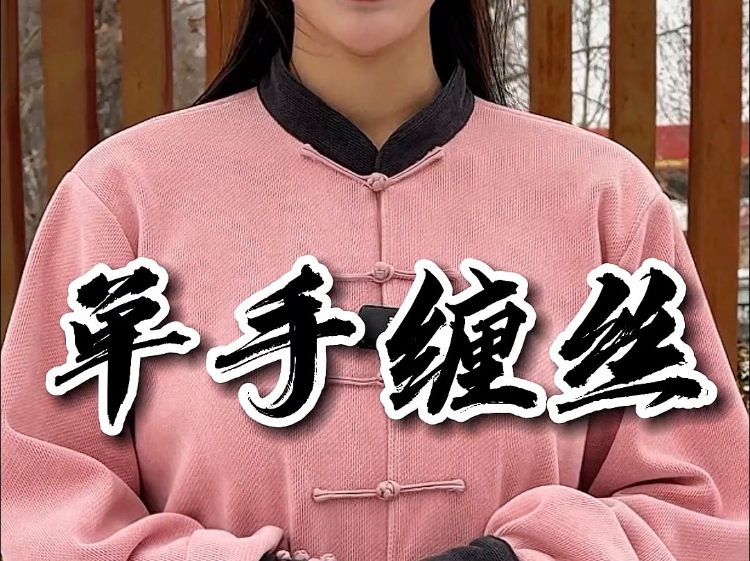 零基础五步教会你太极中的单手缠丝