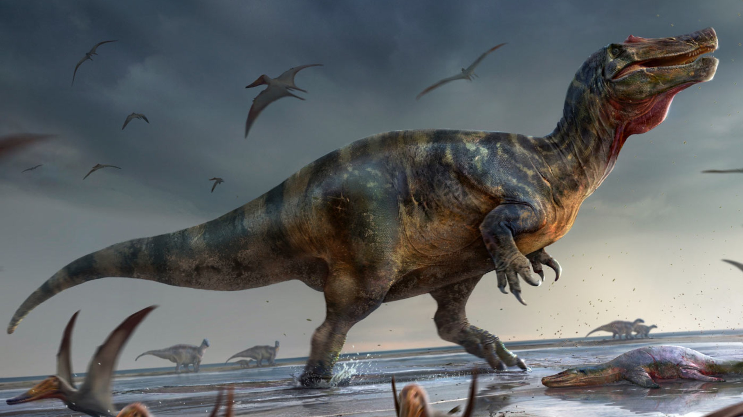 身长超过10米.生活在大约 1.25 亿年前的恐龙