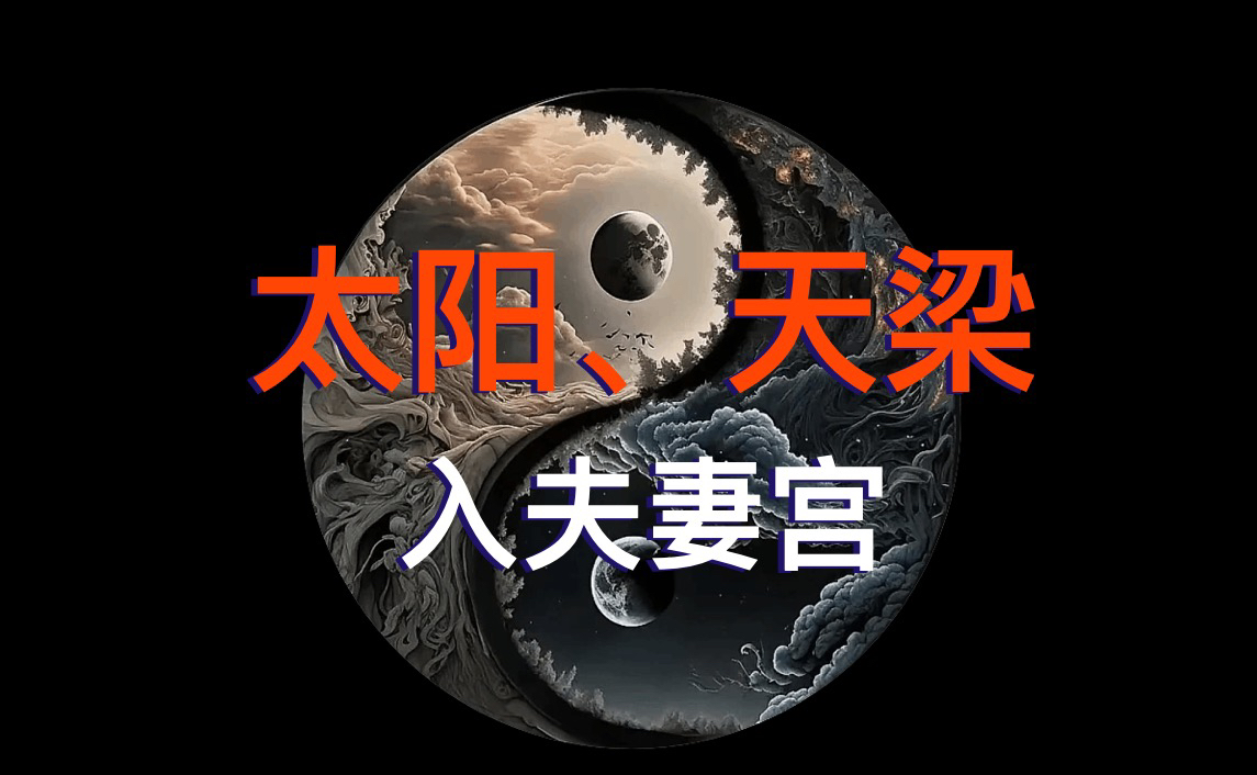 【太阳、天梁星入夫妻宫】夫妻宫看配偶,紫微斗数学习哔哩哔哩bilibili