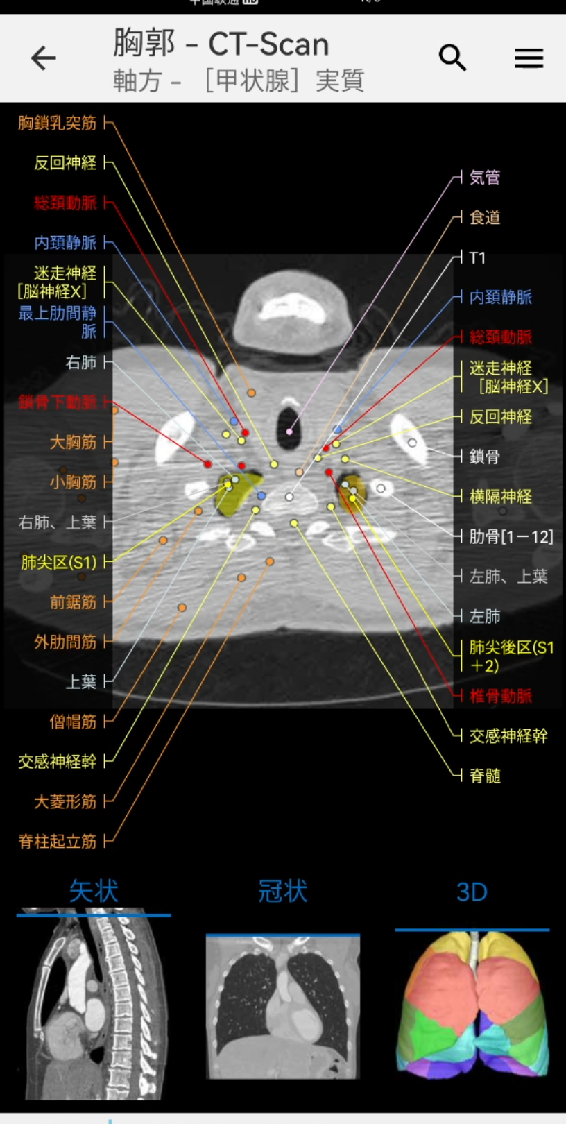 肺部解剖怎么学?一个视频教会你!快来看看吧哔哩哔哩bilibili