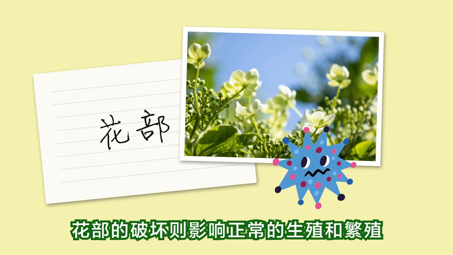 【三农词条】植物病害哔哩哔哩bilibili