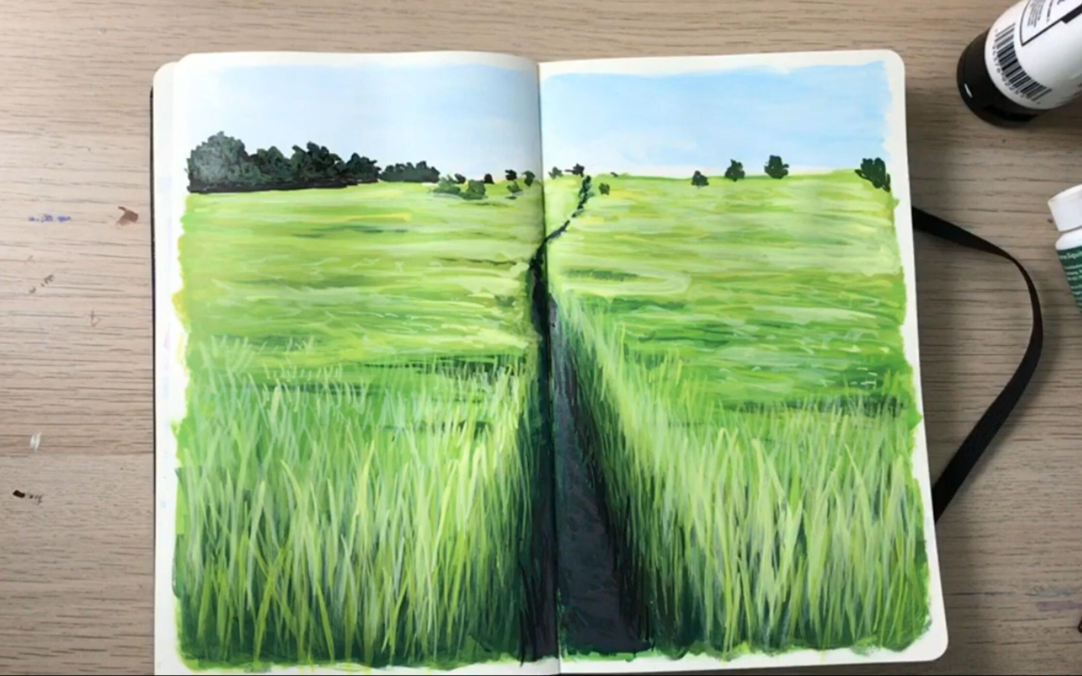 【丙烯画】【绘画教程】写生簿系列-草地-green field painting time