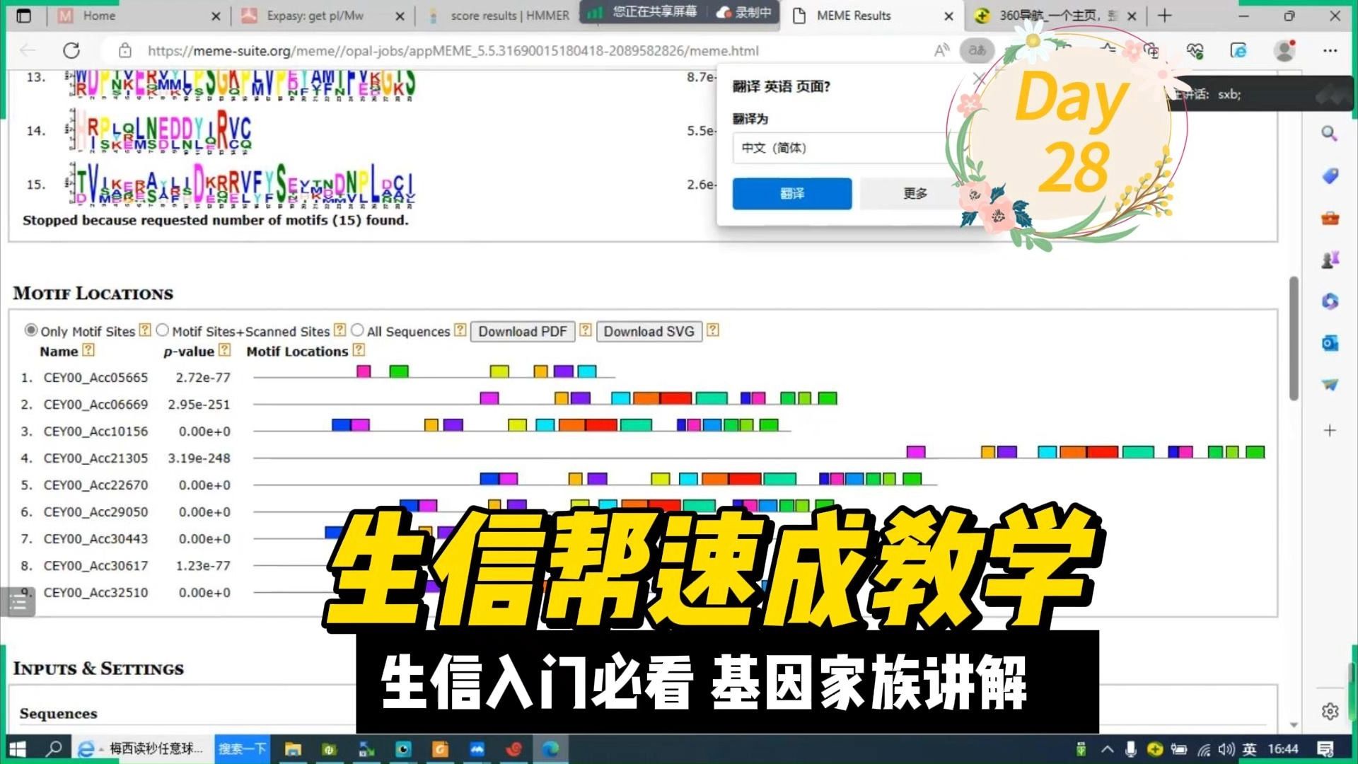 基因家族分析课程28在线Motif分析,MEME网站实操,绘制可视化图表,序列提取哔哩哔哩bilibili