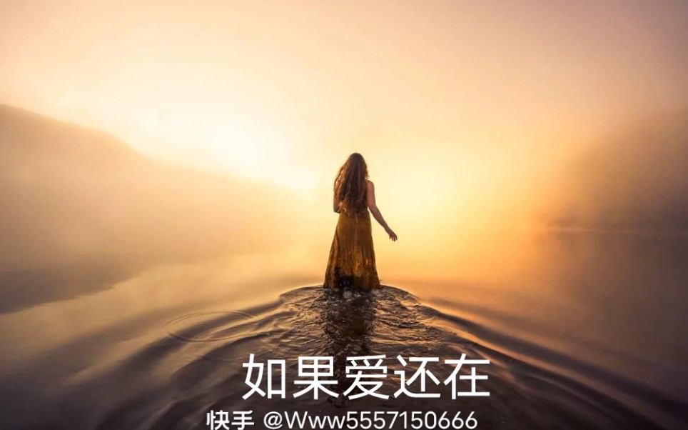 活动作品如果爱还在