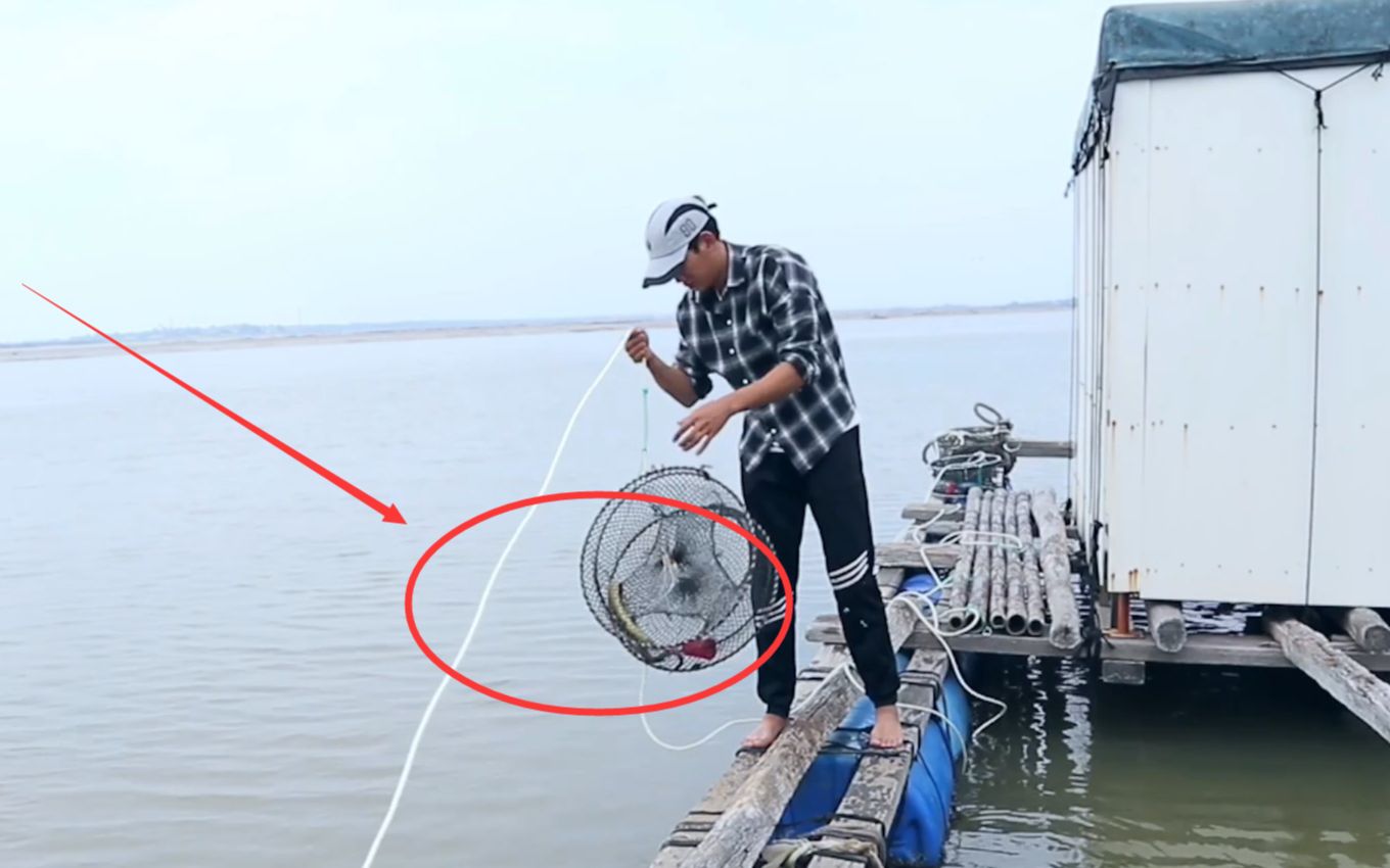 活动  阿聪赶海遇到"蟹潮",生猛海鲜捞都捞不完,笼笼都有太好玩了