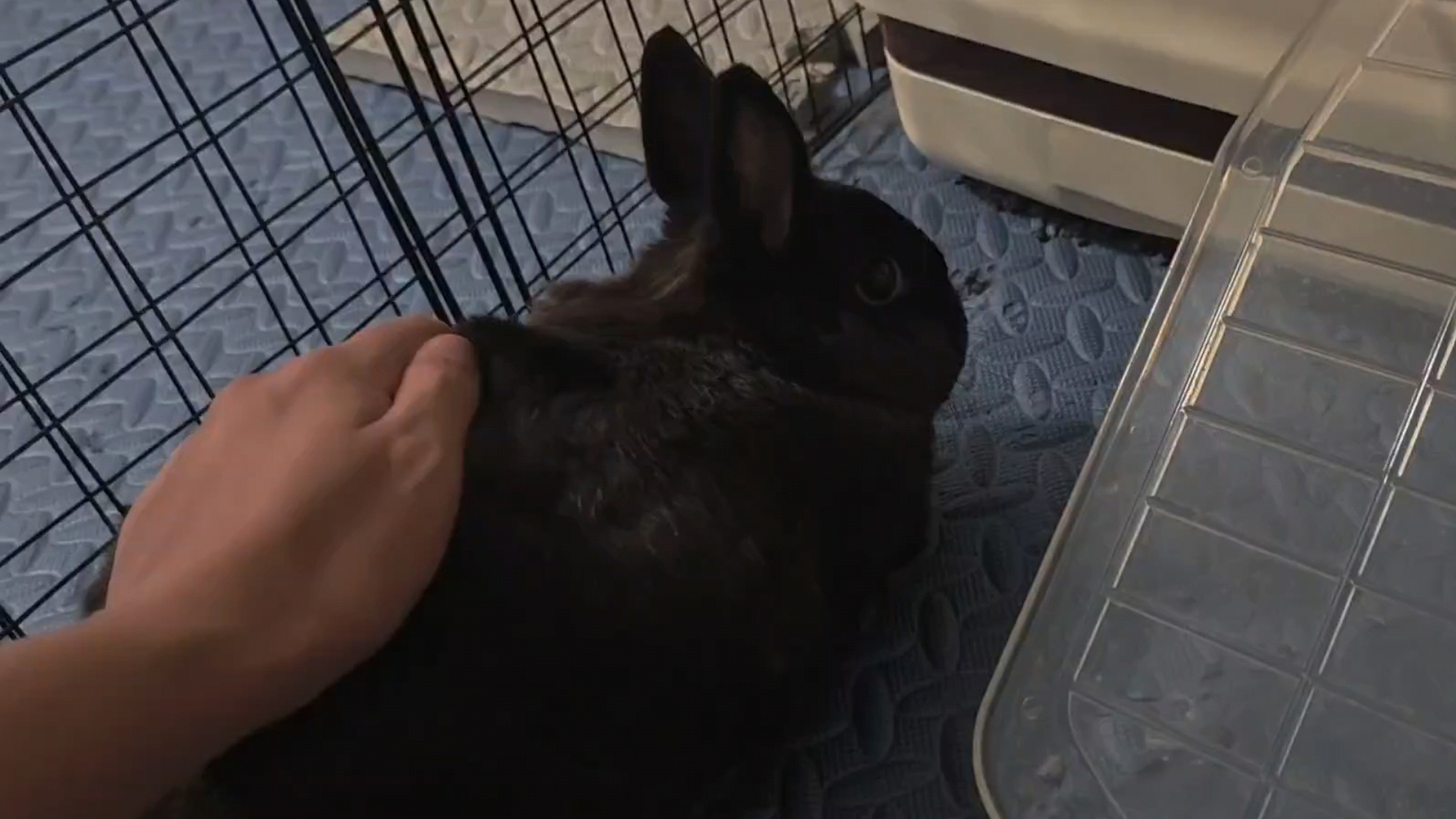 是的我平时就是这么爽