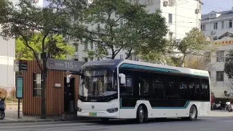 【离谱故障 反向快乐表】只能开30码的115路S0T？