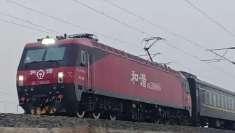 客车K386次永清站两道通过，本务沈局沈段HXD3D-0666