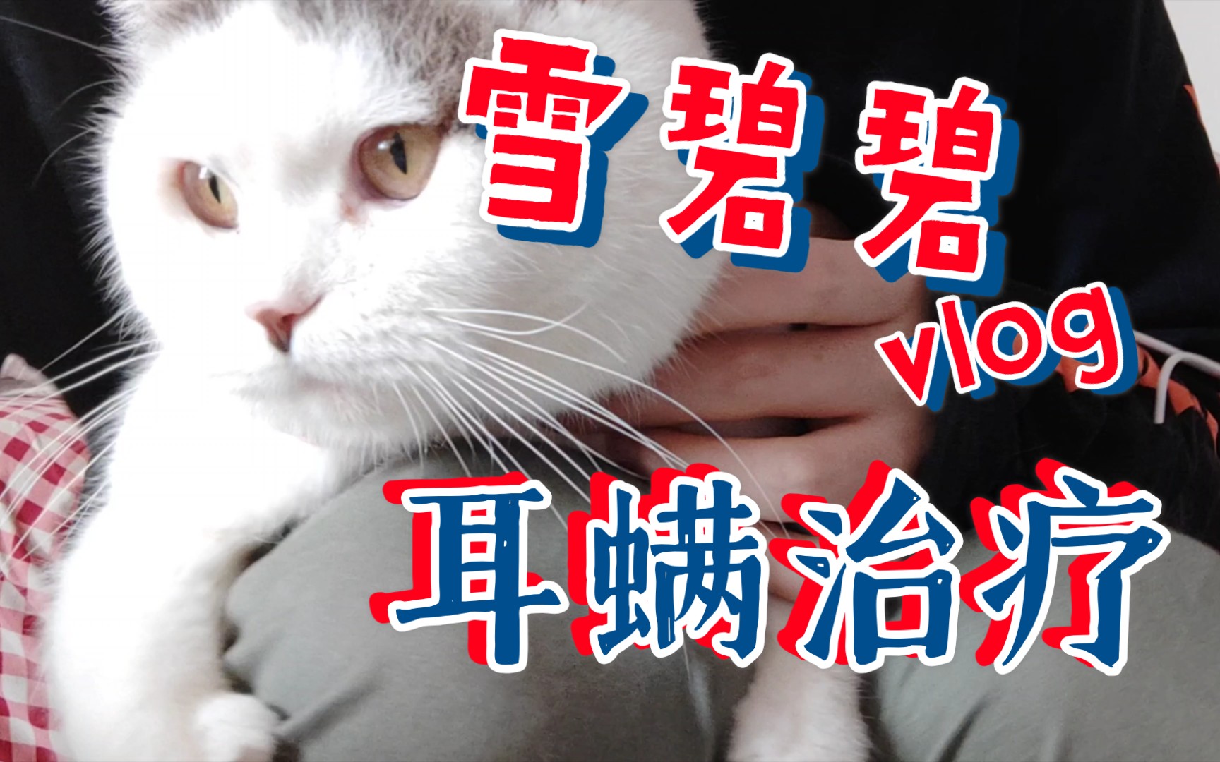 猫猫经常甩头扣耳朵,多半是有耳螨了哔哩哔哩bilibili