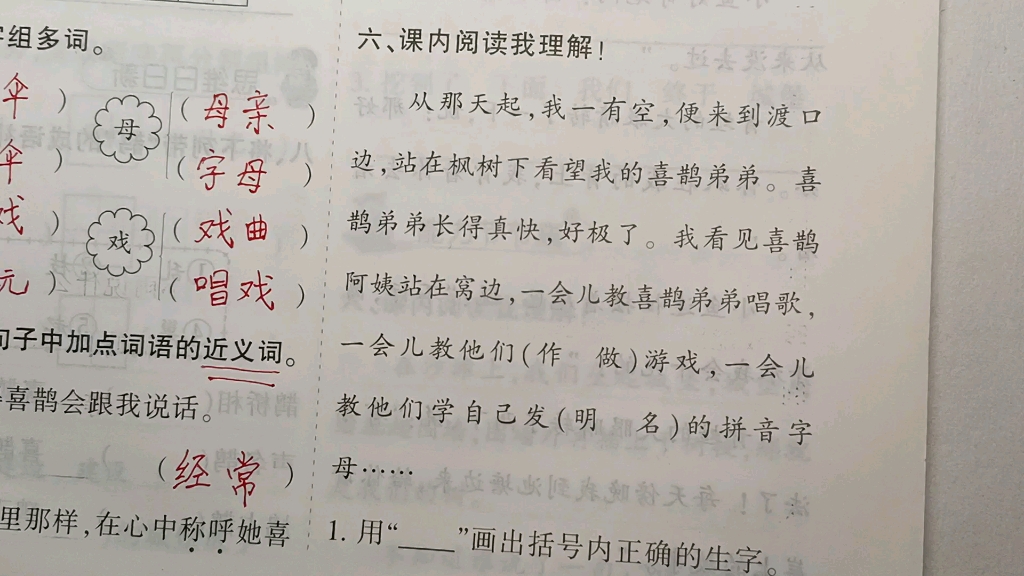 [图]二年级语文下册：9《枫树上的喜鹊》课内阅读，省略号说明什么呢？