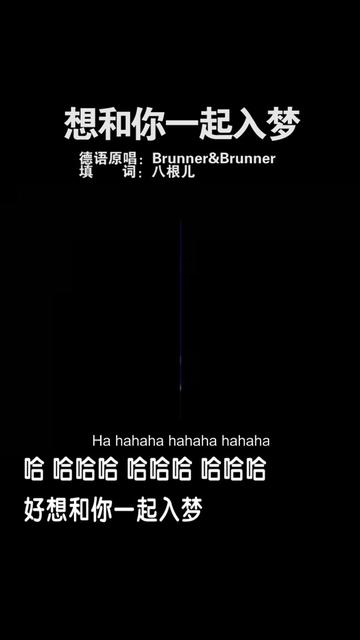 [图]Brunner & Brunner   Heut brauch ich dich zum Träumen 中文版 想和你一起入梦