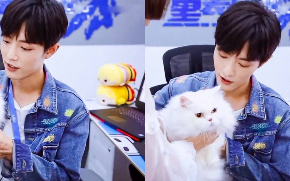 【考古肖战】b站扫楼撸猫花絮 [又是没见过的 ( 03σ080001