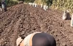 田园生活
