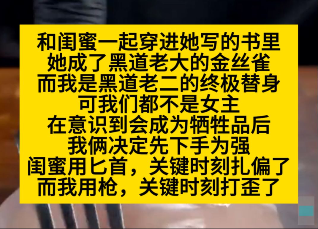 和闺蜜一起穿进她写的小说,她成了黑道老大的金丝雀,我成了老二的终极替身……小说推荐哔哩哔哩bilibili