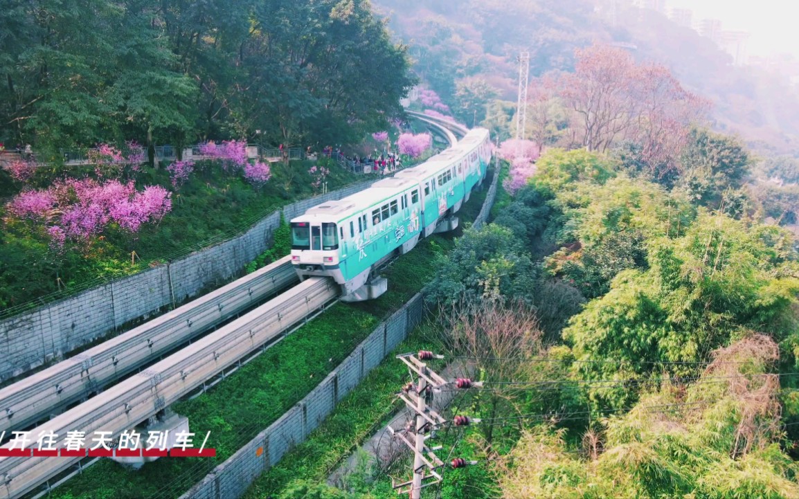 [图]唯美版的重庆“开往春天的列车"