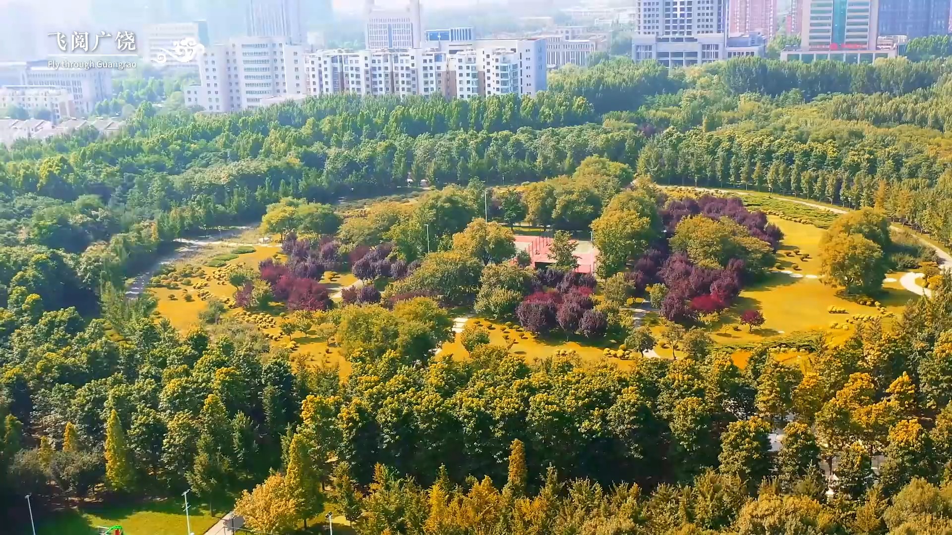 东营市:这个秋天 被广饶美到了哔哩哔哩bilibili