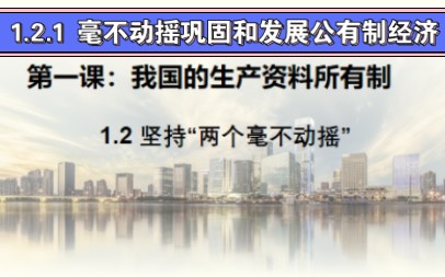 [图]高中政治必修二《经济与社会》1.2.1 毫不动摇巩固和发展公有制经济