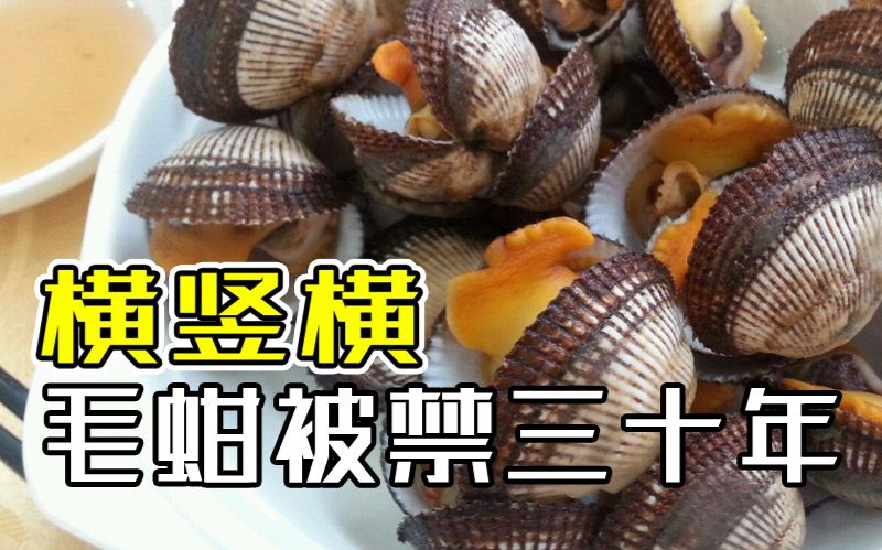 毛蚶被禁三十年 上海人想的口水哒哒滴_哔哩哔哩 (゜-゜)つロ 干杯