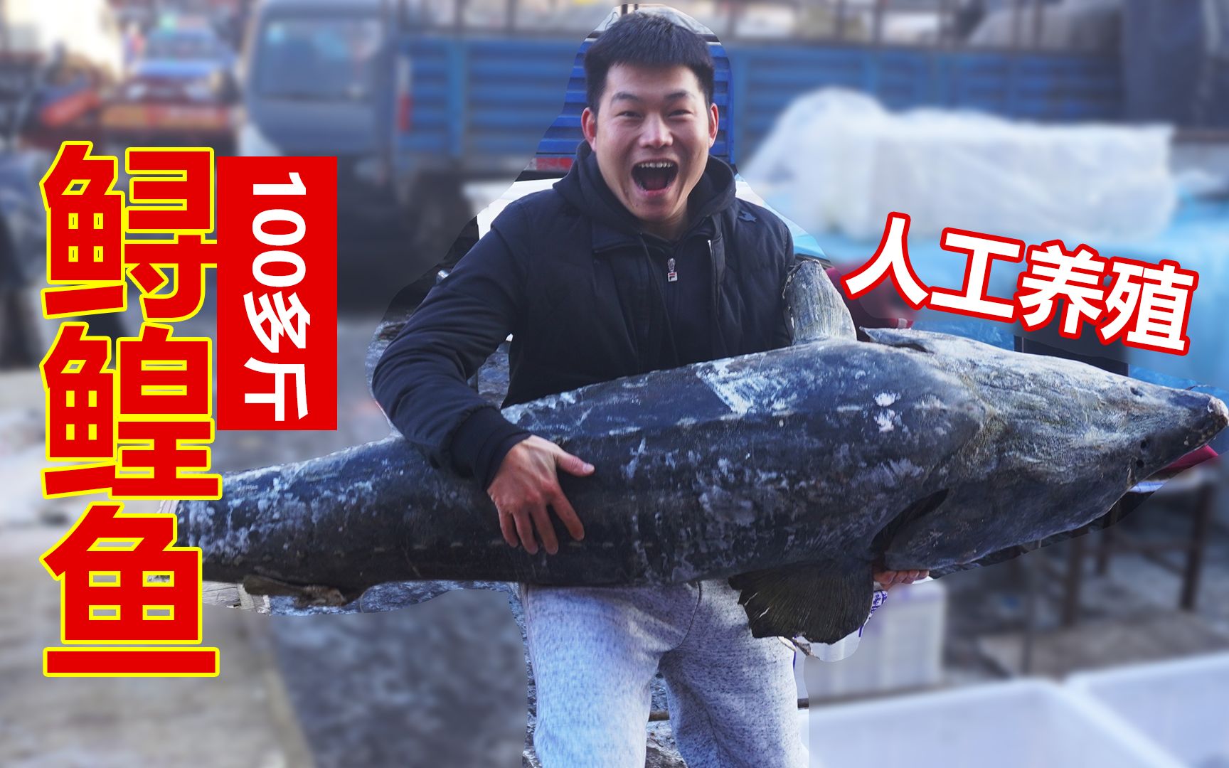 小伙好奇百斤大鳇鱼今天终于买回来了什么的味呢
