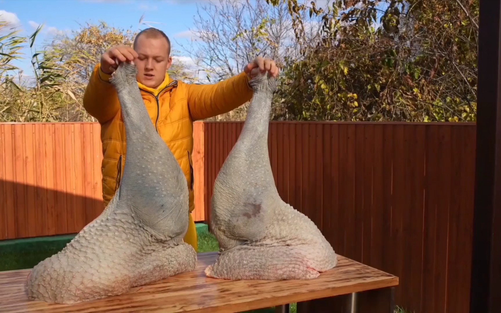 美味#美食#鸵鸟腿