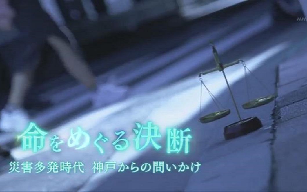 生肉 Nhk特别篇 小小生命之画 宠物与主人与3 11大地震 游戏社