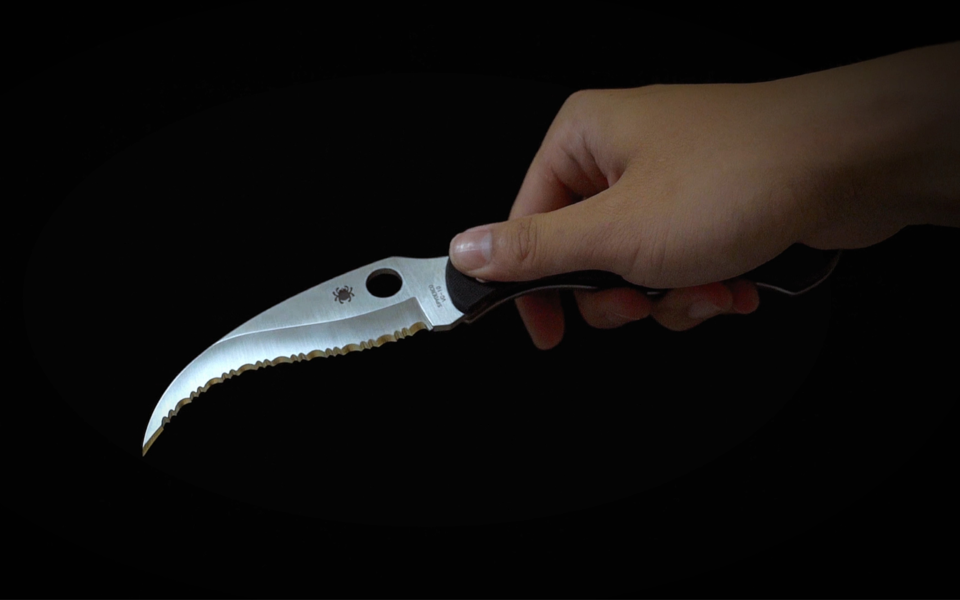 凶残至极spyderco蜘蛛c12gs文官