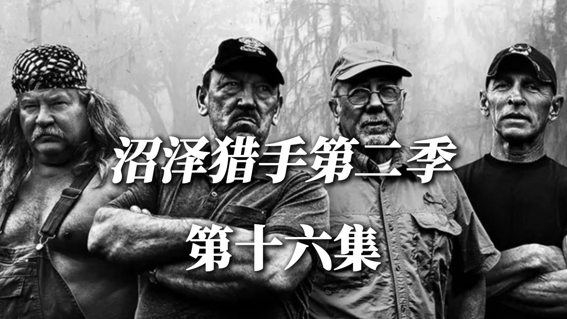 沼泽猎手 #鳄鱼 #国外合法狩猎