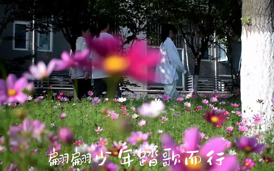 1 《青春的样子》哔哩哔哩bilibili