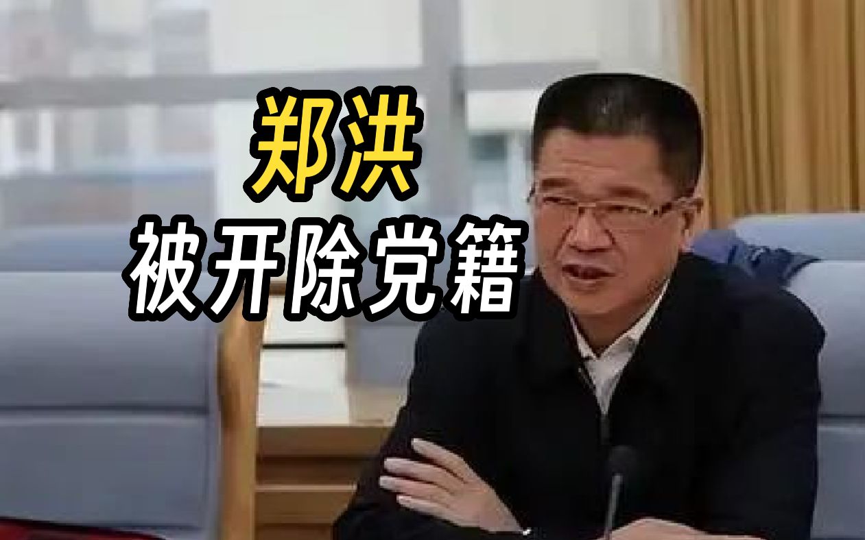 重庆市总工会原主席郑洪被开除党籍!哔哩哔哩bilibili