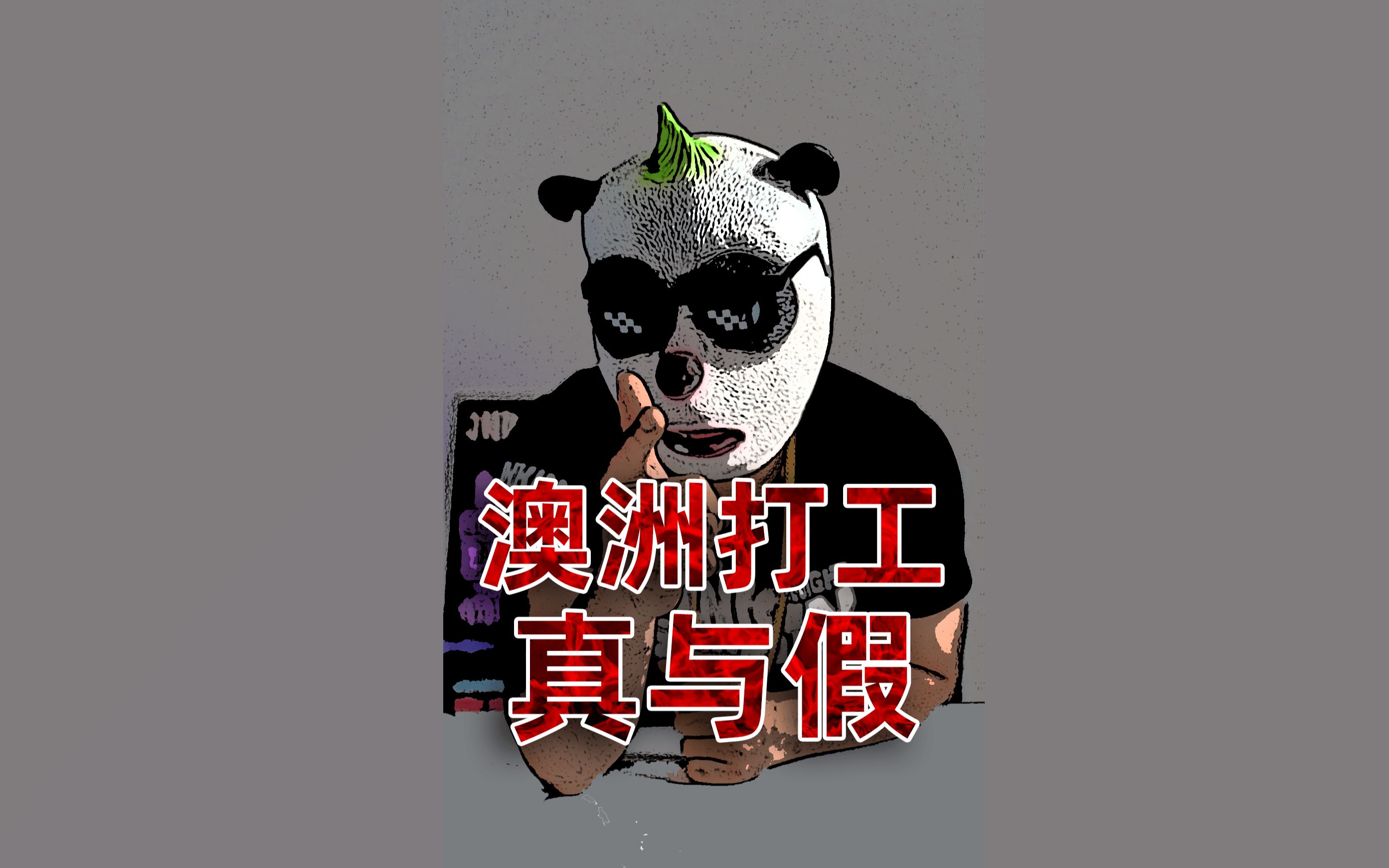 澳洲打工真与假哔哩哔哩bilibili