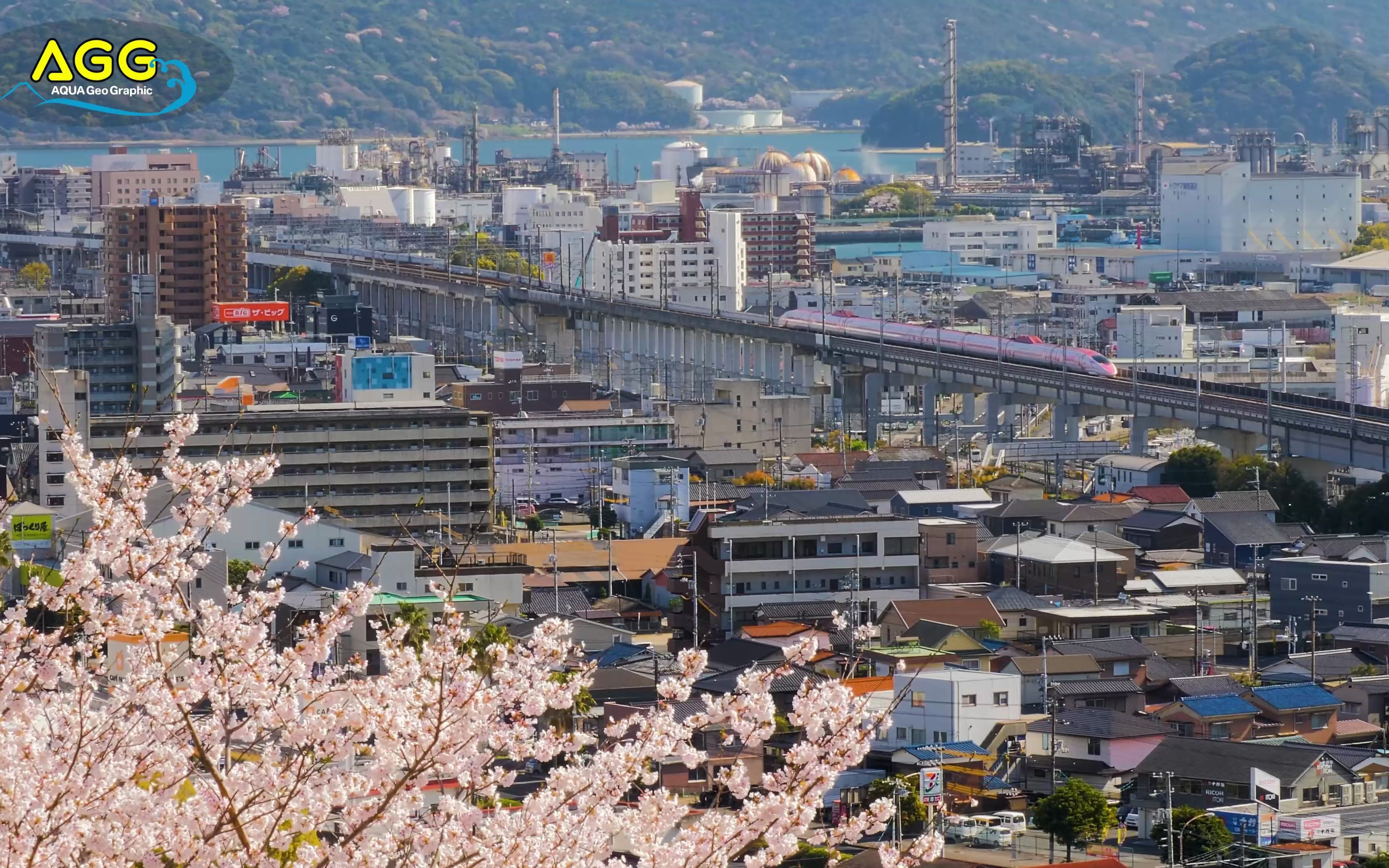 日本铁道樱花季节里丰富多彩的山阳新干线姬路城冈山宍甘游乐园周南