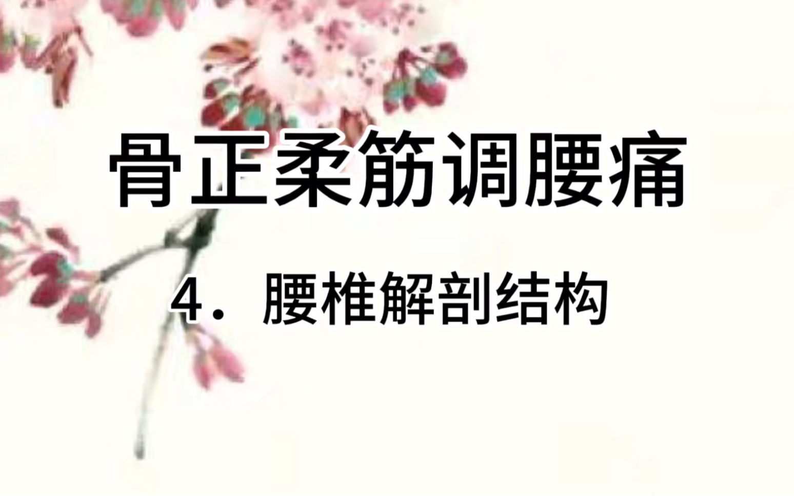 骨正筋柔调腰痛之4.腰椎解剖结构哔哩哔哩bilibili