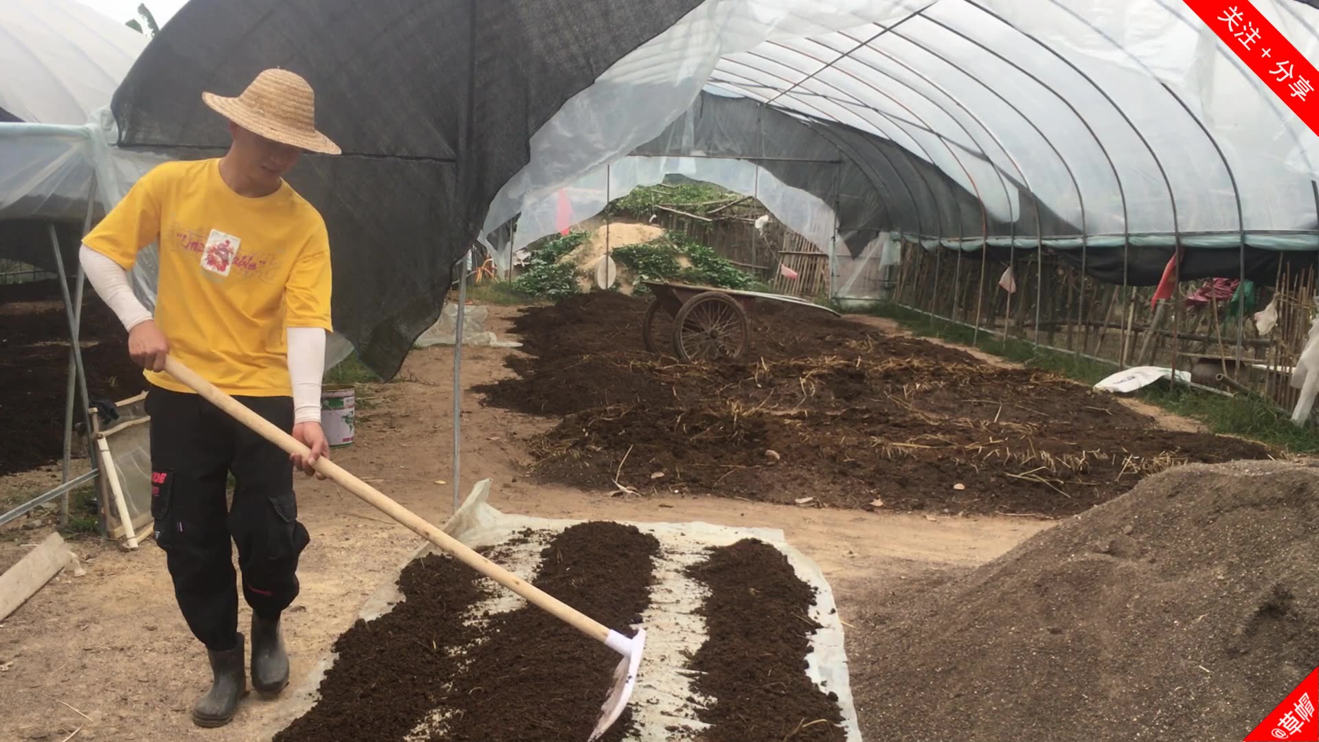 贵州网友想养蚯蚓,出货20斤蚯蚓种苗给他寄过去,采收打包有讲究_哔哩