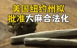 Download Video: 美国纽约州拟批准大麻合法化 年增税收将达3.5亿美元