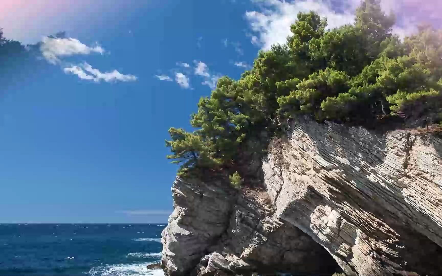 趣玩绘本阅读课程-d