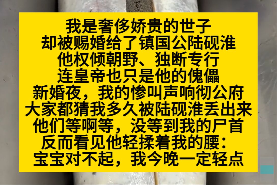 原耽推文 我是奢侈娇贵的世子,却被赐婚给了镇国公,新婚夜,我的惨叫声响彻公府,大家都说我活不久了……哔哩哔哩bilibili