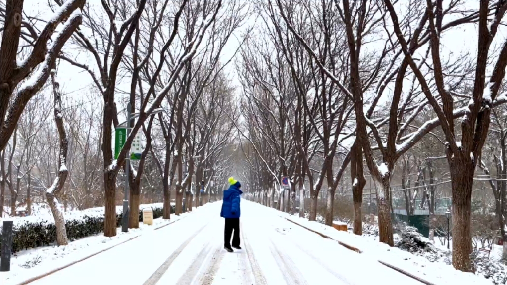 下雪了,心情极度愉悦