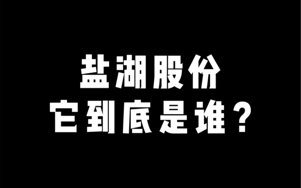 一个视频看懂:盐湖股份前世今生哔哩哔哩bilibili