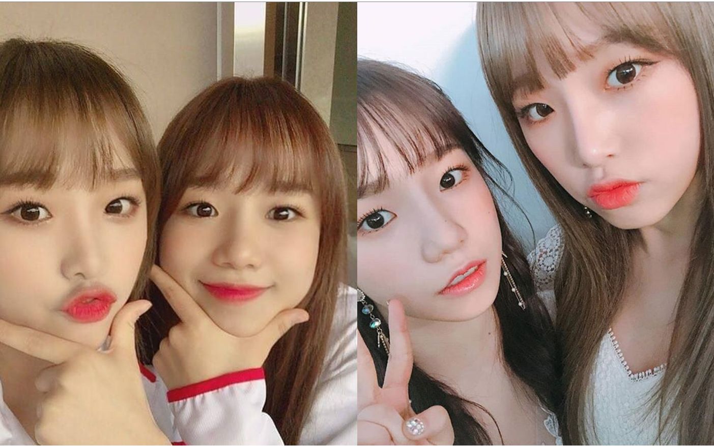 椰肉cp〗椰奶柔理这两只长得越来越像了,完全的夫妻脸呀