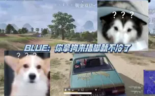 Tải video: A趣：好冷   blue：你把狗拿来捂脚就不冷了   仔仔、98k：？？