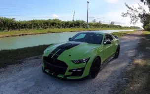 Download Video: 福特野马 眼镜蛇 Shelby Mustang GT500 第一视角驾驶